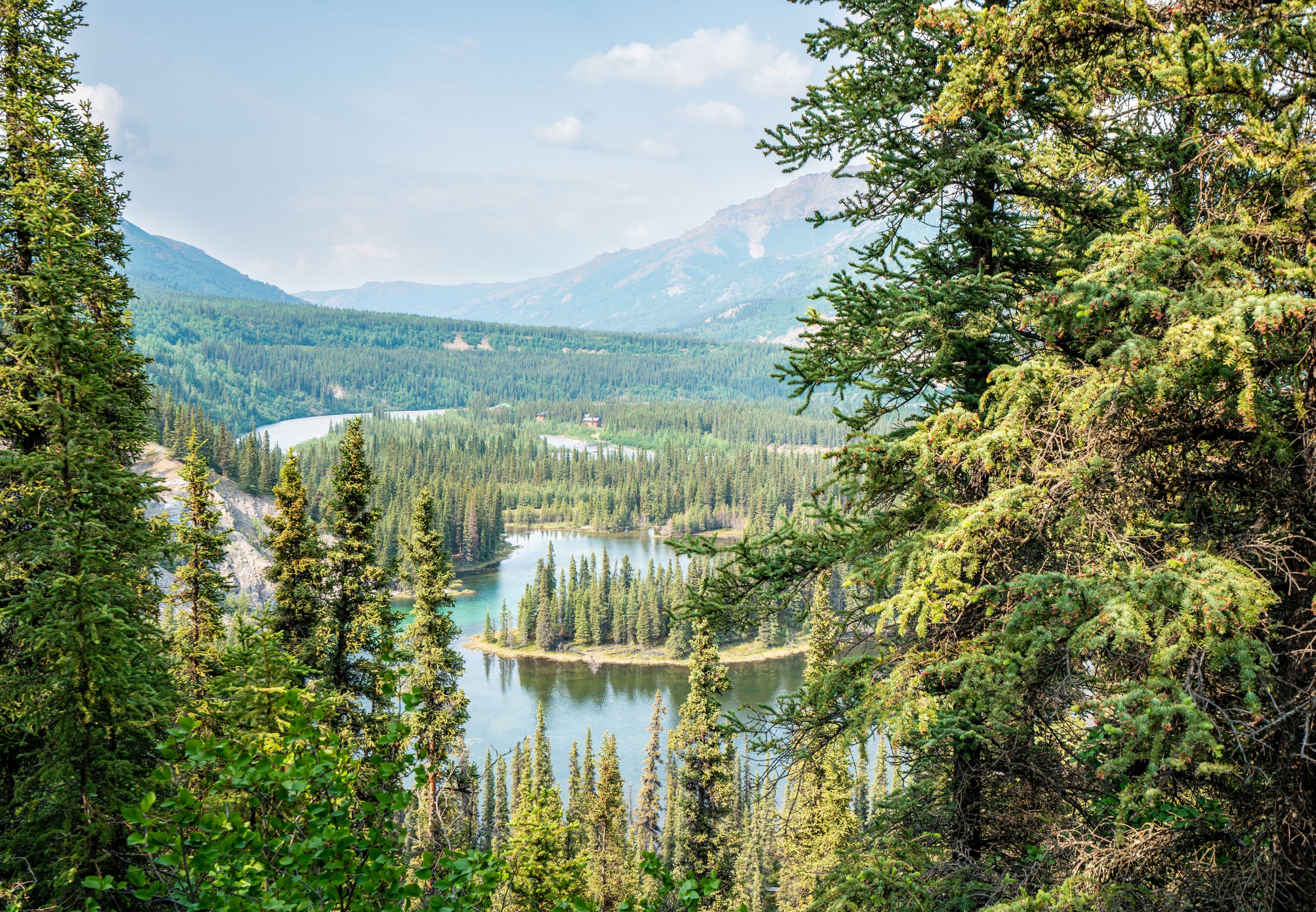 Reverse Outdoors Denali National Park